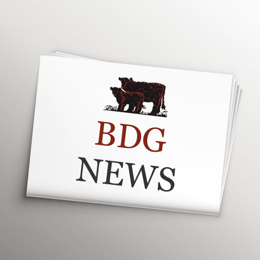 BDG NEWS