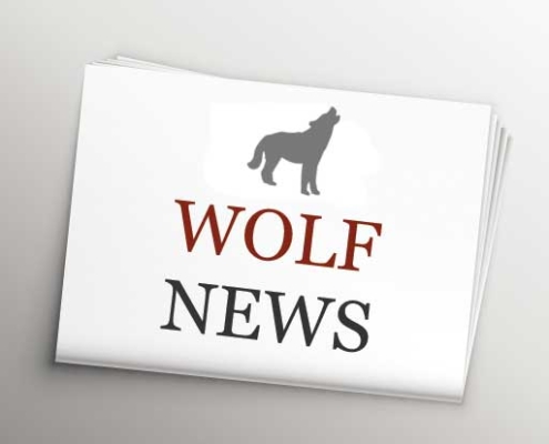 Wolf News