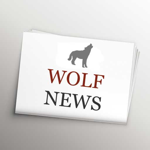 Wolf News