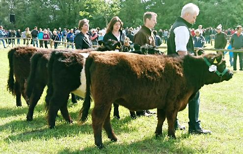 Tierschau Frankenberg Siegerbild