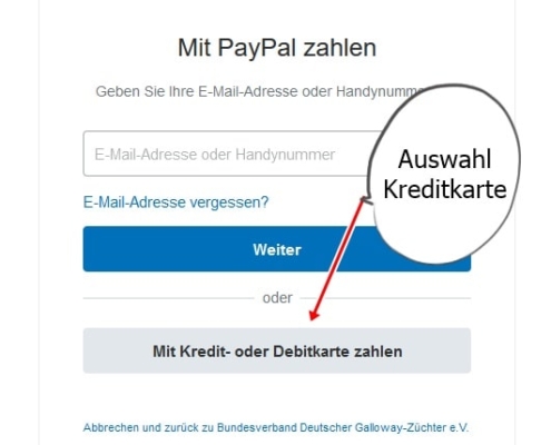 PayPal nach Klick auf Mit Kredit- oder Debitkarte zahlen