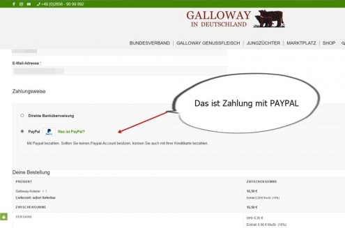 Zahlung Paypal