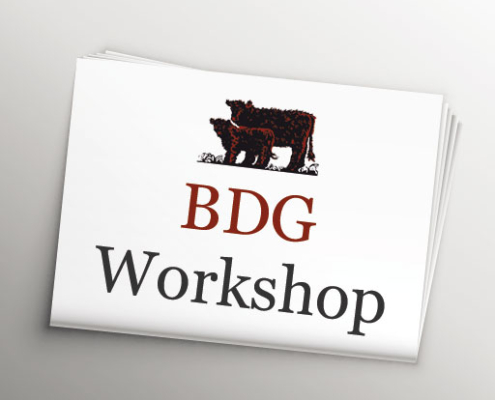BDG WORKSHOP
