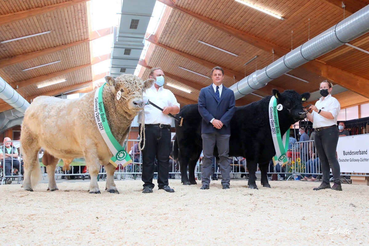 1a +S Mirko V. Freigut Garsena Karl Friedrich Schöning + 5 1a+RS Zoro Of Kilnstone Kraft Gbr Herdbuch Großbritannien