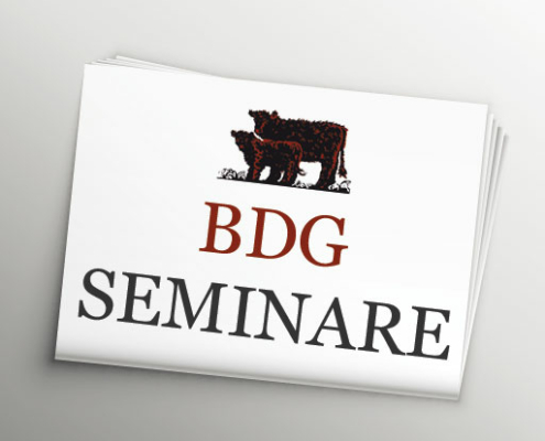 BDG SEMINARE