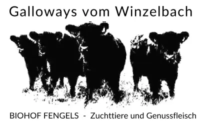 Biohof Fengels - Galloways vom Winzelbach