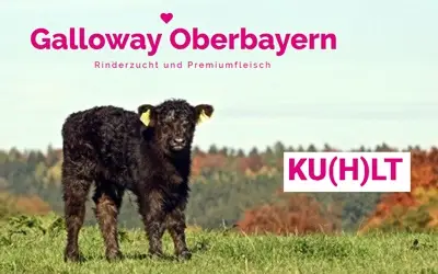 Galloway Oberbayern