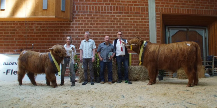 Highland Sieger