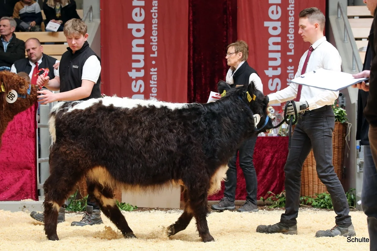 221 57 Ib Rihanna DE 07 712 21750 Wotan V. Maeusbachtal Rose V. Germscheid Kams Oliver, Asbach (3) A