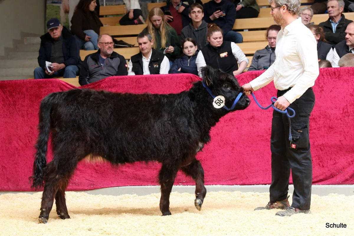 223 58 Ic Juju DE 07 712 21768 Wotan V. Maeusbachtal Jojo V. Germscheid Kams Oliver, Asbach (2) A