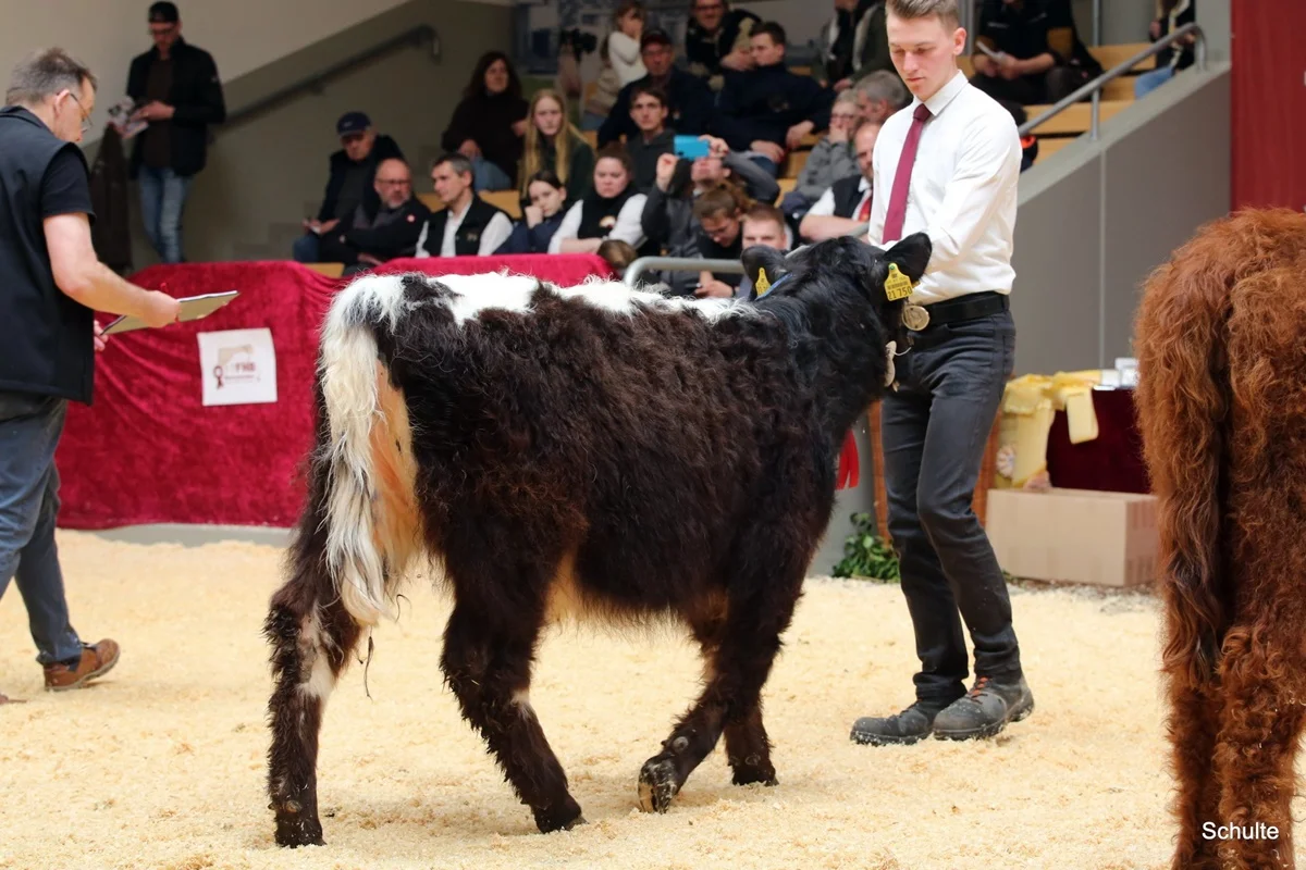 226 57 Ib Rihanna DE 07 712 21750 Wotan V. Maeusbachtal Rose V. Germscheid Kams Oliver, Asbach (2) A