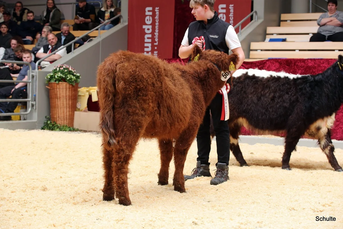 227 56 Ia RS Pixie DE 07 712 31846 Pepe V. Insbachtal Sarah V. Ellersbach Midinet Bernd, Dohr (5) A