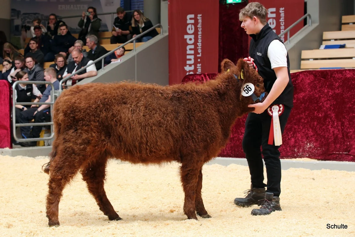 228 56 Ia RS Pixie DE 07 712 31846 Pepe V. Insbachtal Sarah V. Ellersbach Midinet Bernd, Dohr (4) A
