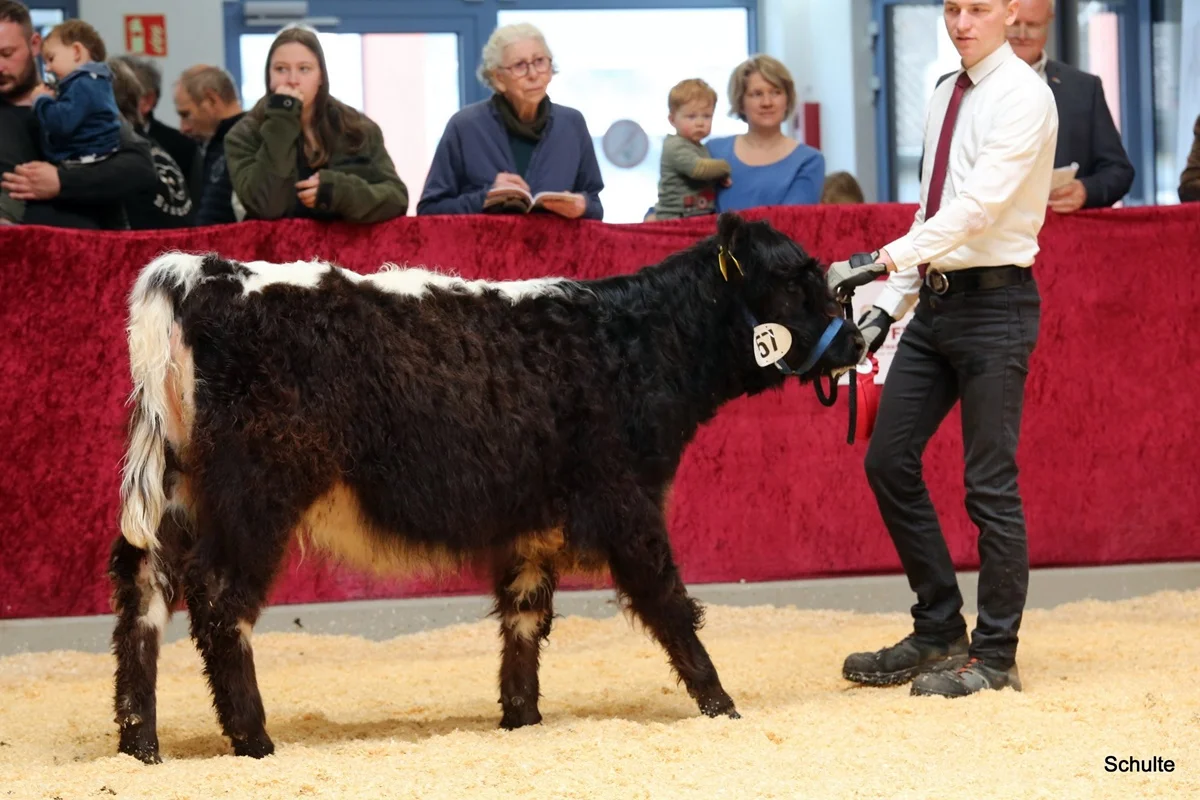 229 57 Ib Rihanna DE 07 712 21750 Wotan V. Maeusbachtal Rose V. Germscheid Kams Oliver, Asbach (1) A