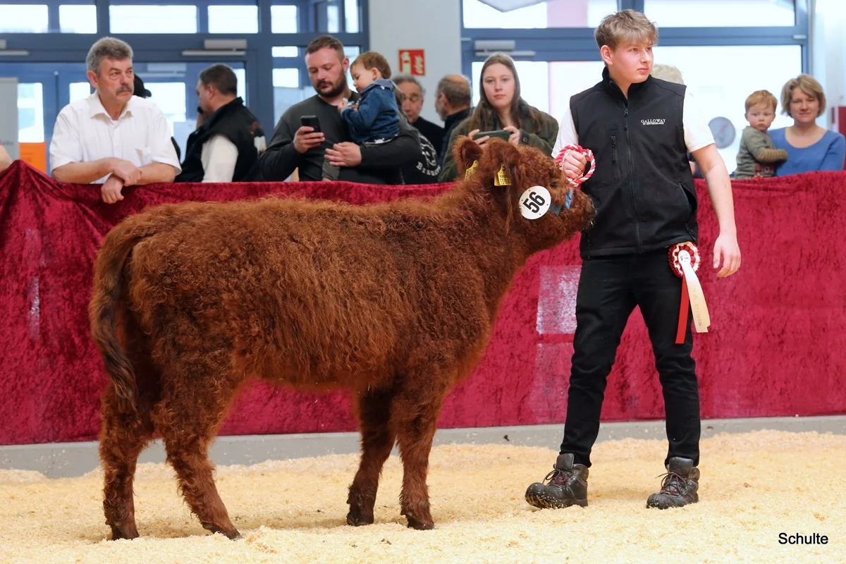 230 56 Ia RS Pixie DE 07 712 31846 Pepe V. Insbachtal Sarah V. Ellersbach Midinet Bernd, Dohr (3) A