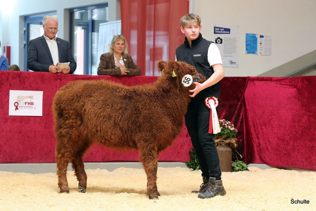 231 56 Ia RS Pixie DE 07 712 31846 Pepe V. Insbachtal Sarah V. Ellersbach Midinet Bernd, Dohr (2) A