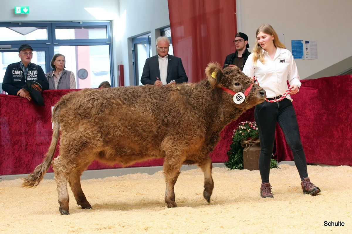 241 48 Ib Peris DE 07 712 31834 Pepe V. Insbachtal Peach V. Ellersbach Midinet Bernd, Dohr (6) A