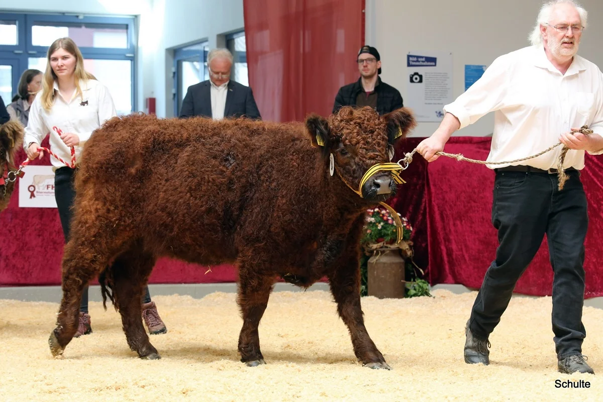 244 47 Ia S Sina DE 07 712 31833 Pepe V. Insbachtal Sarah V. Ellersbach Midinet Bernd, Dohr (10) A