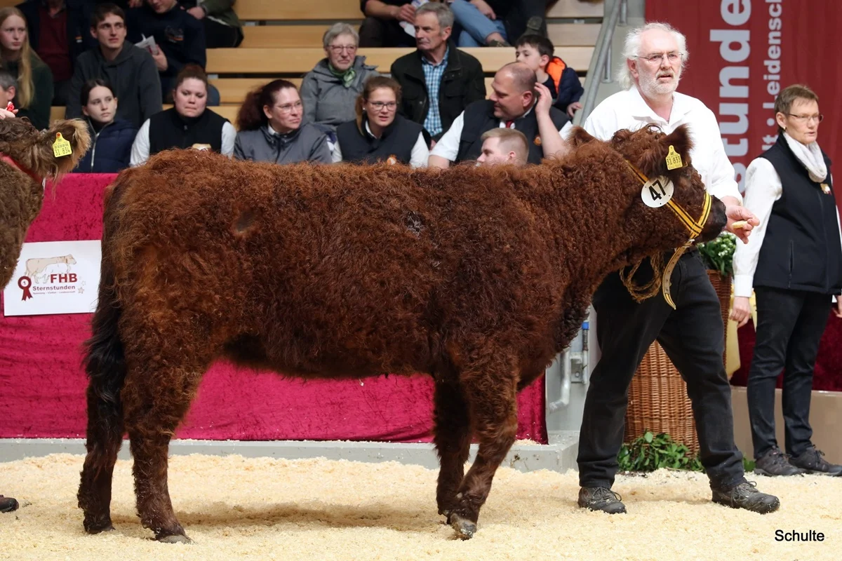 246 47 Ia S Sina DE 07 712 31833 Pepe V. Insbachtal Sarah V. Ellersbach Midinet Bernd, Dohr (9) A