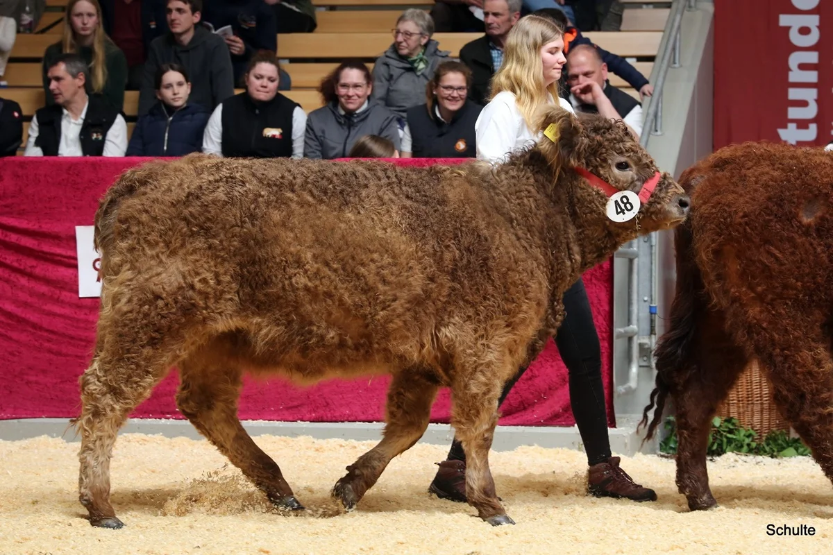 247 48 Ib Peris DE 07 712 31834 Pepe V. Insbachtal Peach V. Ellersbach Midinet Bernd, Dohr (5) A
