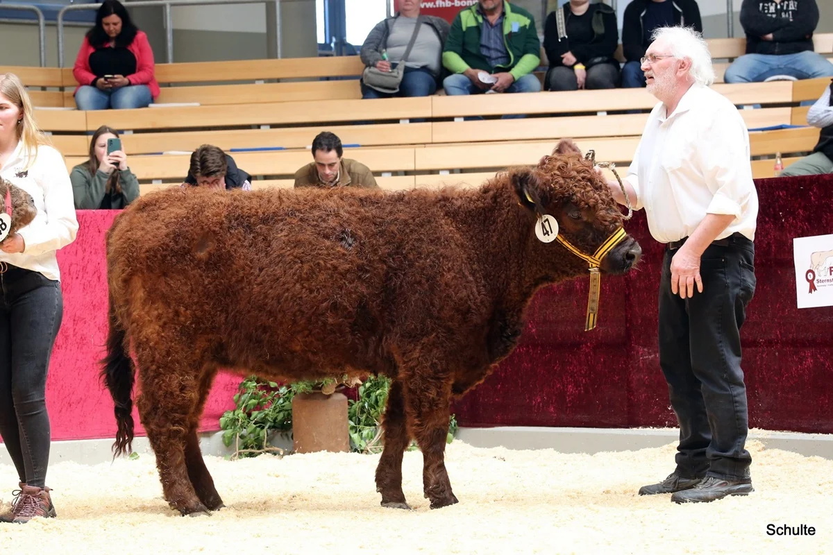 251 47 Ia S Sina DE 07 712 31833 Pepe V. Insbachtal Sarah V. Ellersbach Midinet Bernd, Dohr (8) A