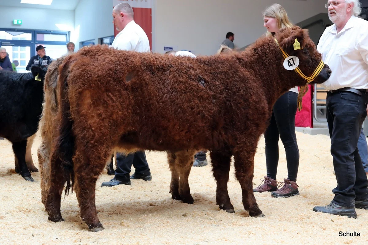 252 47 Ia S Sina DE 07 712 31833 Pepe V. Insbachtal Sarah V. Ellersbach Midinet Bernd, Dohr (7) A