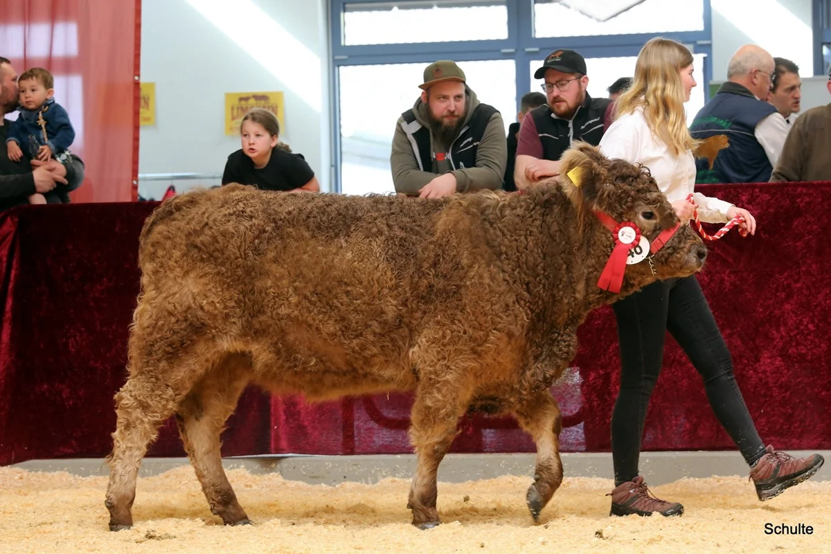 253 48 Ib Peris DE 07 712 31834 Pepe V. Insbachtal Peach V. Ellersbach Midinet Bernd, Dohr (3) A