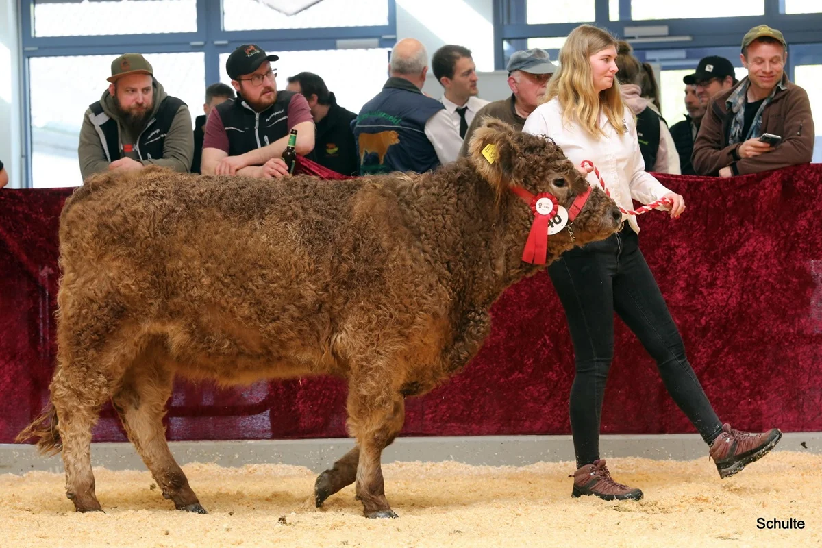 254 48 Ib Peris DE 07 712 31834 Pepe V. Insbachtal Peach V. Ellersbach Midinet Bernd, Dohr (2) A