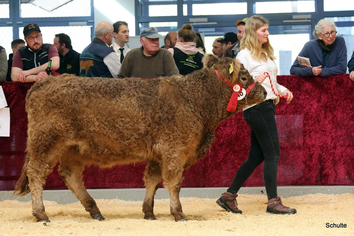 255 48 Ib Peris DE 07 712 31834 Pepe V. Insbachtal Peach V. Ellersbach Midinet Bernd, Dohr (1) A
