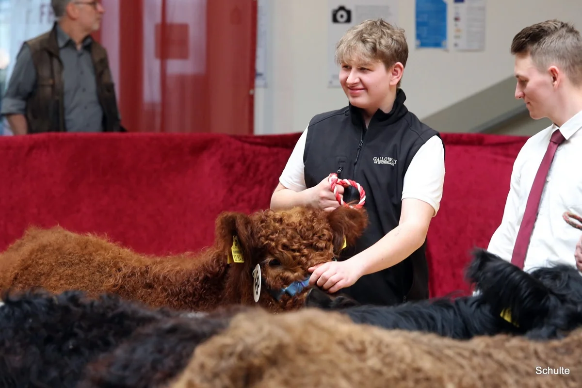 259 56 Ia RS Pixie DE 07 712 31846 Pepe V. Insbachtal Sarah V. Ellersbach Midinet Bernd, Dohr (1) A