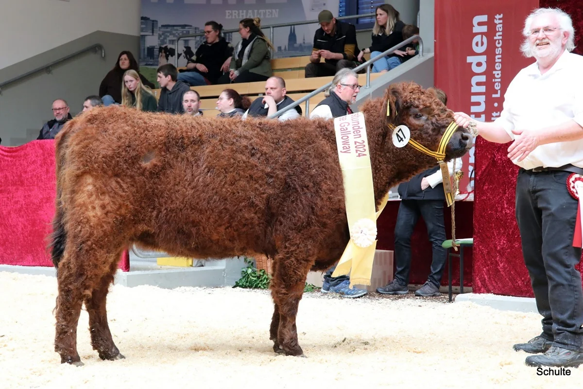 262 47 Ia S Sina DE 07 712 31833 Pepe V. Insbachtal Sarah V. Ellersbach Midinet Bernd, Dohr (4) A