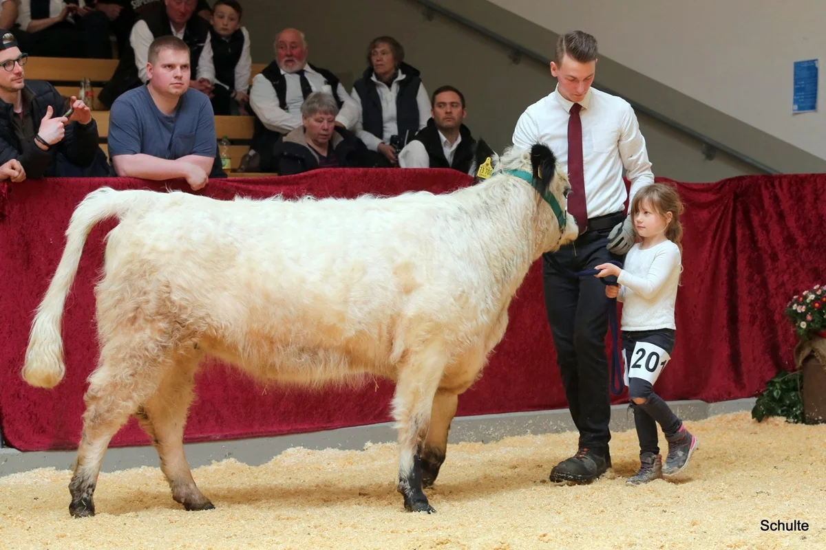 268 201 Ausser Konkurrenz Ronja Kams 5 Jahre Juju DE 07 712 21768 Wotan V. Maeusbachtal Jojo V. Germscheid (11) A