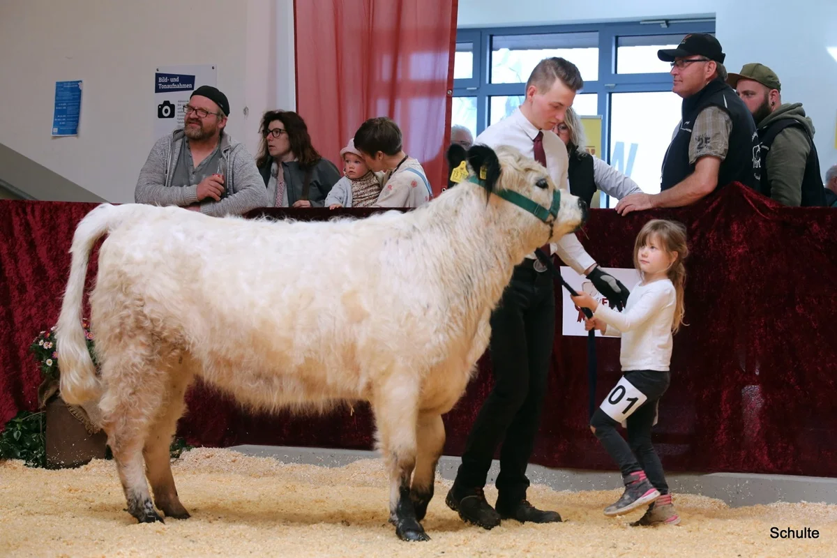 269 201 Ausser Konkurrenz Ronja Kams 5 Jahre Juju DE 07 712 21768 Wotan V. Maeusbachtal Jojo V. Germscheid (6) A