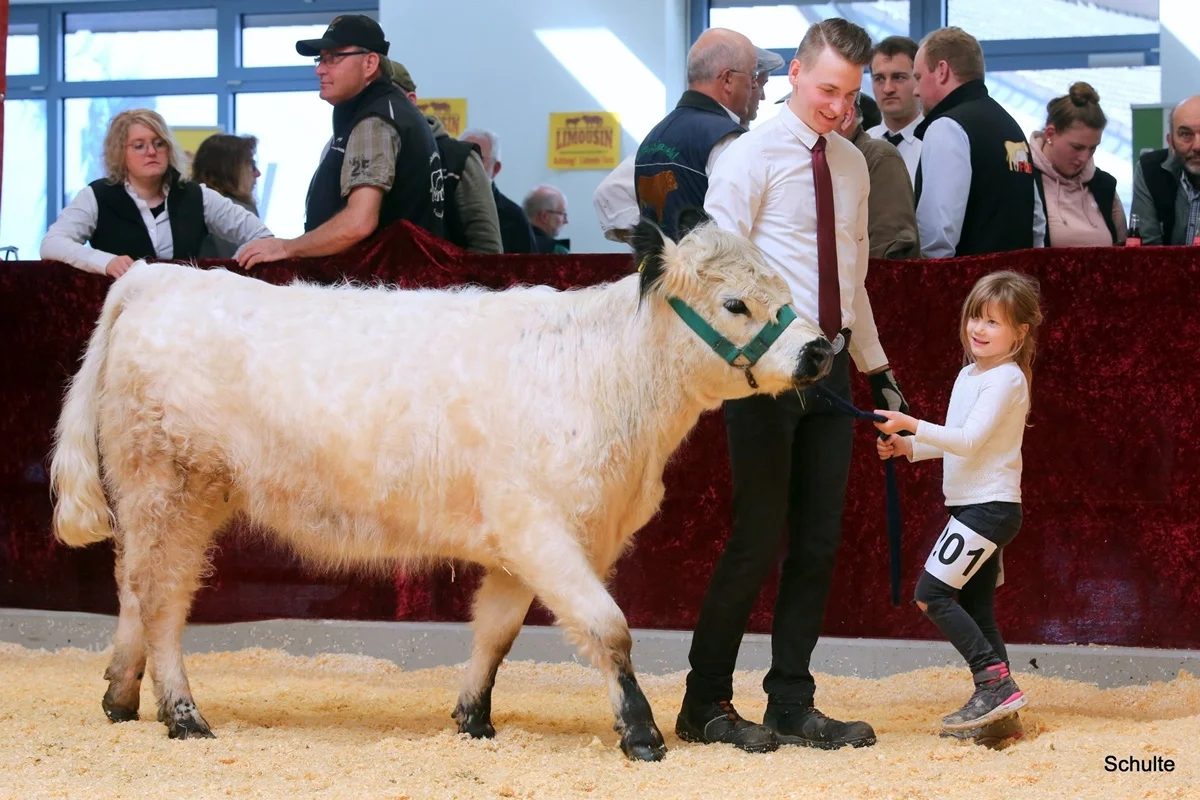 270 201 Ausser Konkurrenz Ronja Kams 5 Jahre Juju DE 07 712 21768 Wotan V. Maeusbachtal Jojo V. Germscheid (7) A
