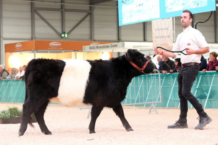 010 86 1a DE06 65481408 Lana Vom Saelzerhof 07.02.2023 Saelzer, Wolfhagen Istha A