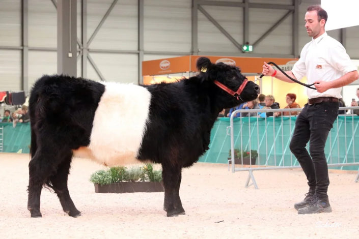 012 86 1a DE06 65481408 Lana Vom Saelzerhof 07.02.2023 Saelzer, Wolfhagen Istha (3) A