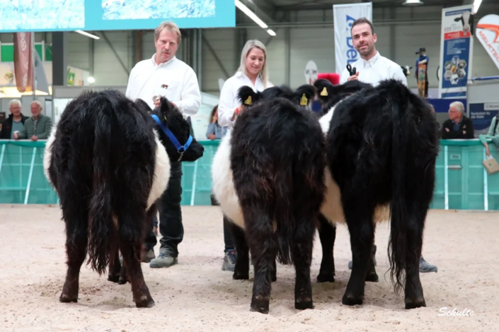 019 Klasse Gallowy Faersen Belted 1 A