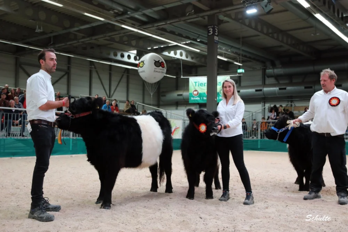 025 Klasse Gallowy Faersen Belted 1 A