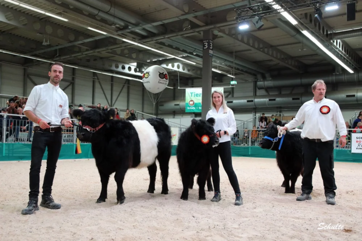 027 Klasse Gallowy Faersen Belted 1 A