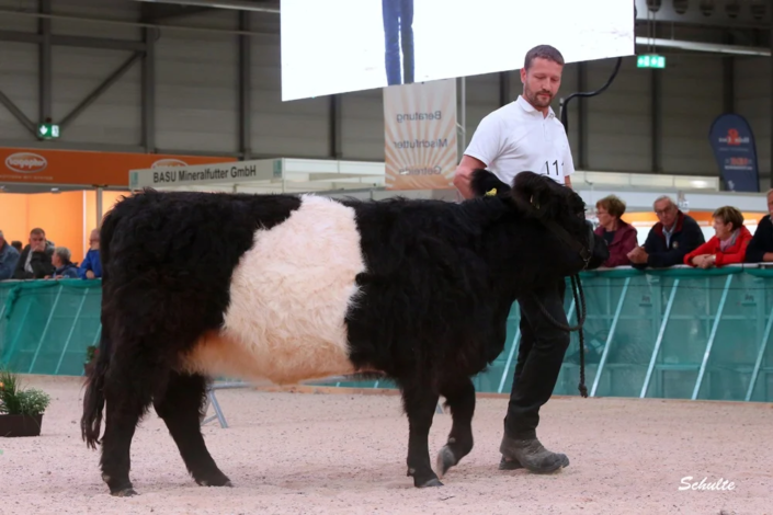 041 111 1d DE16 04215856 Pauline 21.03.2022 Agrofarm Naturrind GmbH, Neustadt An Der Orla A