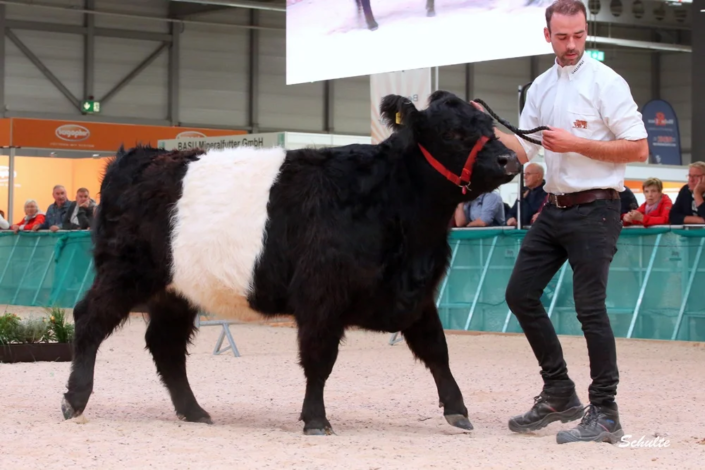043 111 1d DE16 04215856 Pauline 21.03.2022 Agrofarm Naturrind GmbH, Neustadt An Der Orla A