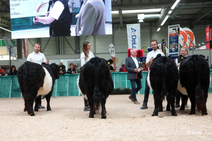 063 Klasse Gallowy Faersen Belted 2 A