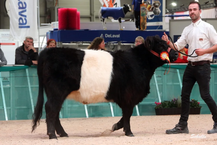 075 86 1a DE06 65481408 Lana Vom Saelzerhof 07.02.2023 Saelzer, Wolfhagen Istha A