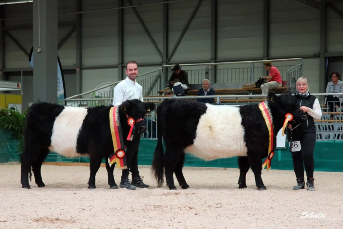 085 Sieger Beltedt A