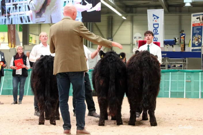 110 Klasse Gallowy Faersen 1 A