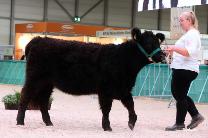 118 72 1a DE12 72832323 Sahara V. Heidegrund 23.05.2023 Tornow, Lindow A