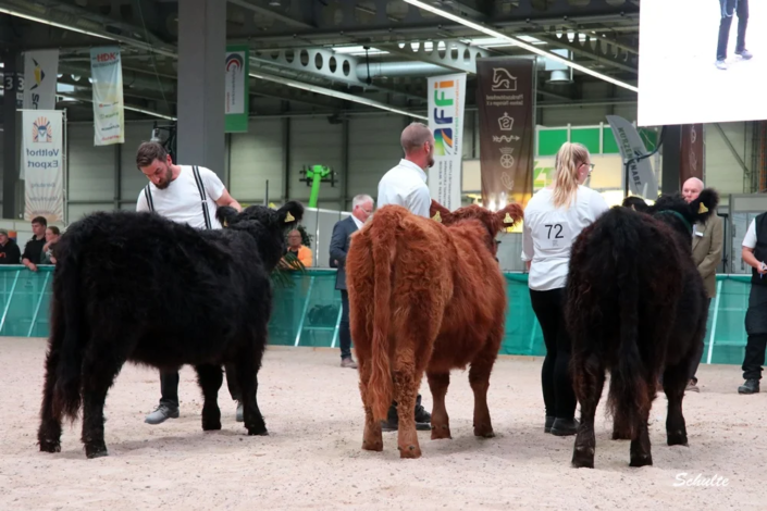 127 Klasse Gallowy Faersen 2 A