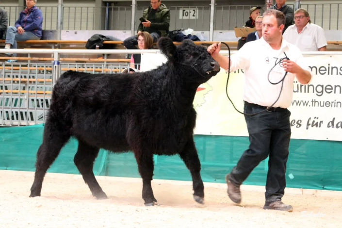 137 78 1a DE06 65485121 Coco V. Bechtelsberg 14.03.2023 Kraft Und Bock GbR, Ottrau A