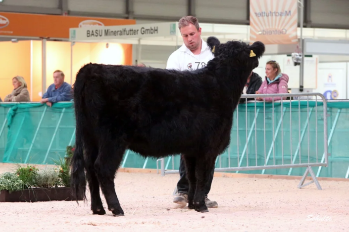 142 78 1a DE06 65485121 Coco V. Bechtelsberg 14.03.2023 Kraft Und Bock GbR, Ottrau A