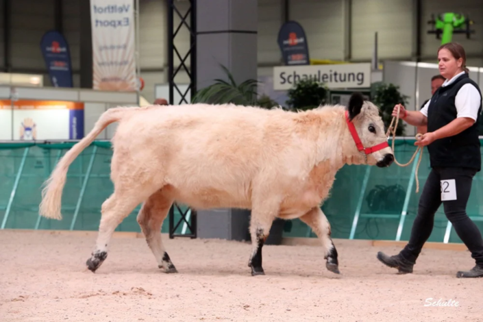 162 82 1c DE06 65475547 Mimi V. Struthof 28.02.2023 Boss, Weilrod A